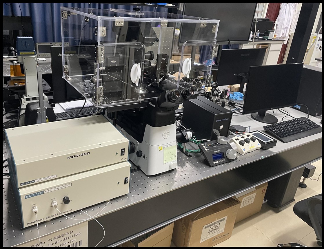 micromanipulator